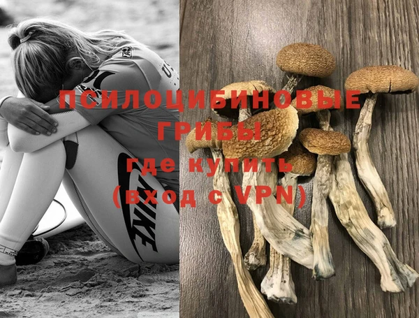 дурь Бугульма