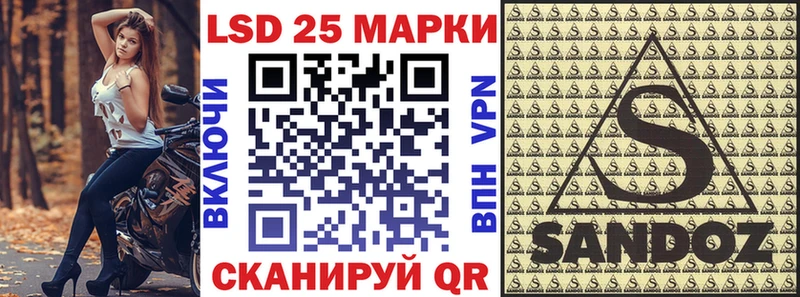 Марки N-bome 1500мкг  где найти   Далматово 