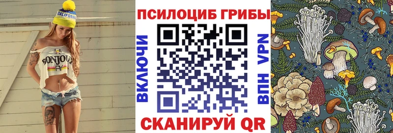 Галлюциногенные грибы Psilocybe  где купить наркоту  Далматово 