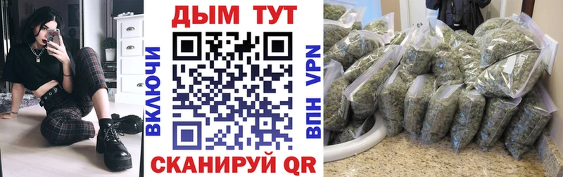 блэк спрут ССЫЛКА  Далматово  Бошки марихуана план  что такое  